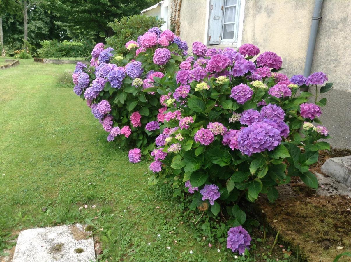 Chateau De Benac 외부 사진
